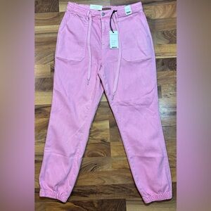 Judy Blue High Waist Pink Garment Dyed Jogger Jeans Size 9/29 NWT